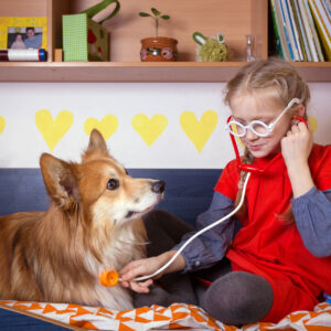 La médiation animale en orthophonie ?