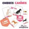 Ombres Canines : 32 cartes à imprimer associant la photo d'un chien à sa silhouette noire, pour travailler l'informativité