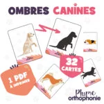 Ombres Canines