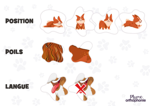 Ombres Canines – Image 4