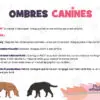 Ombres Canines : visuel 2