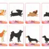 Ombres Canines : visuel 3