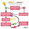 Comment réviser mon contrôle ? Astuce Ortho : visuel 3