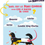 Fiche de travail les suffixes